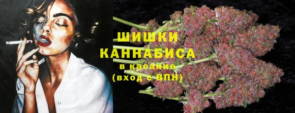 молекула духа Баксан