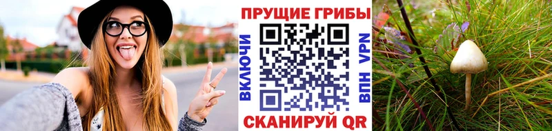 Галлюциногенные грибы MAGIC MUSHROOMS  Калининец 